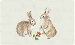 Bacova Mailbox Bunnies 10408