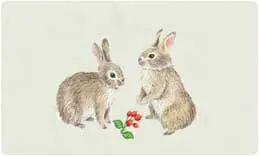 Bacova Mailbox Bunnies 10408