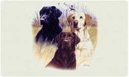 Bacova Mailbox Labrador Trio 10416