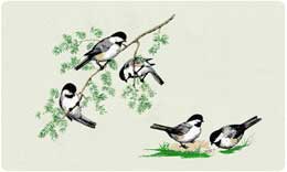 Bacova Mailbox Chickadees 10006