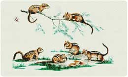 Bacova Mailbox Chipmunks 10027