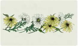 Bacova Mailbox Daisies 10327