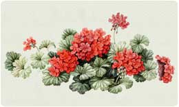 Bacova Mailbox Geraniums 10092