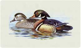 Bacova Mailbox Wood Duck 10162