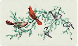 BG_bacova_large_songbirds1