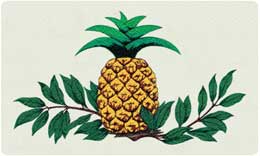 BG_bacova_pineapple1