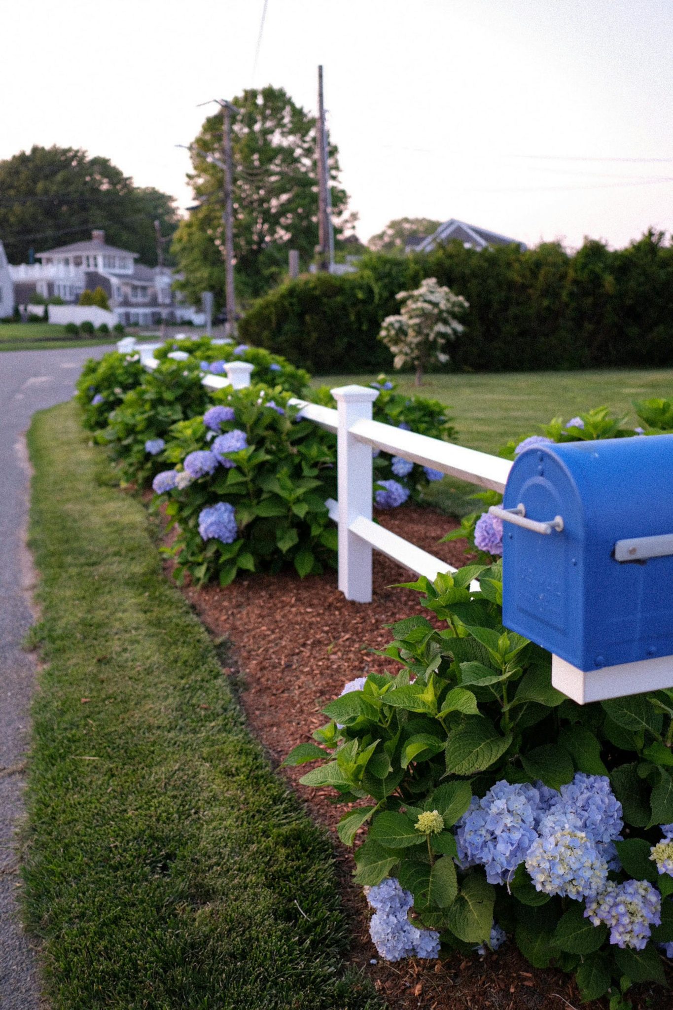 The Ultimate Guide to Mailbox Regulations and Replacements. - MailboxWorks